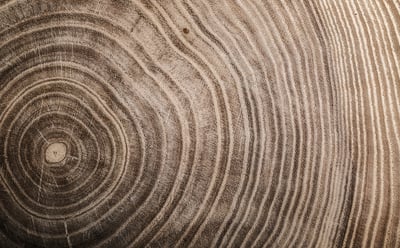 AdobeStock_202089842 AdobeStock_202089842